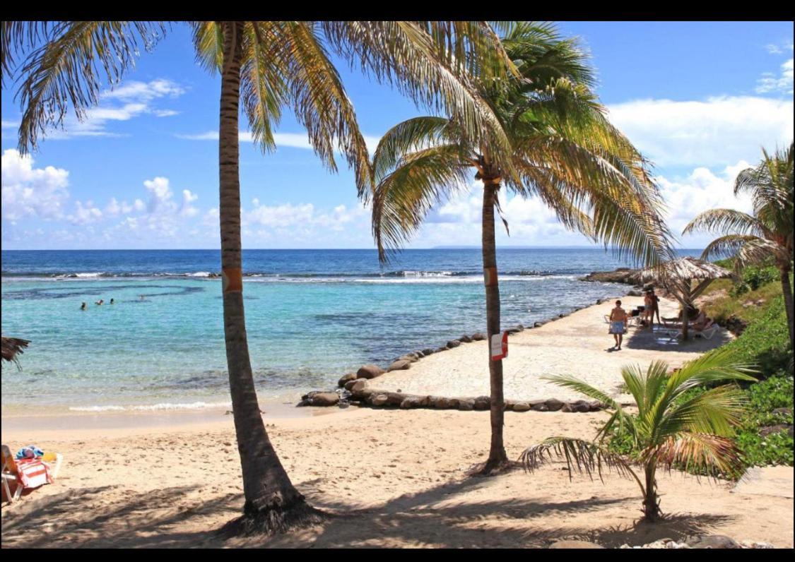 Gwada Cocoon & Blue Lagoon, 2 Studios Cote A Cote Au Manganao A St Francois & Choisissez Le Plus Adapte 생프랑수아 외부 사진