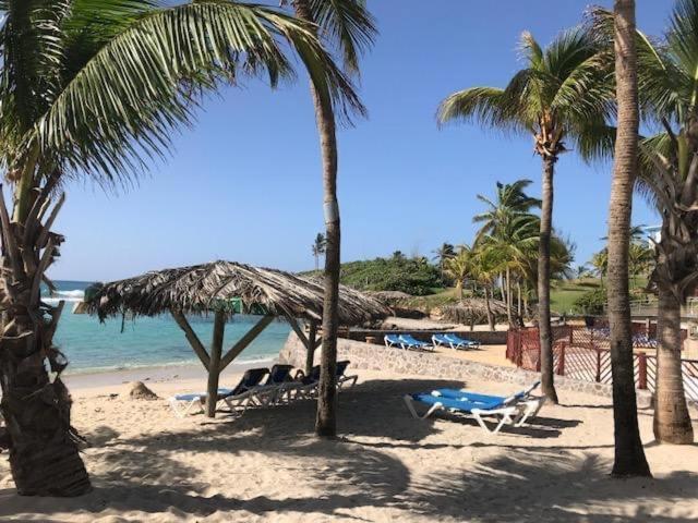 Gwada Cocoon & Blue Lagoon, 2 Studios Cote A Cote Au Manganao A St Francois & Choisissez Le Plus Adapte 생프랑수아 외부 사진